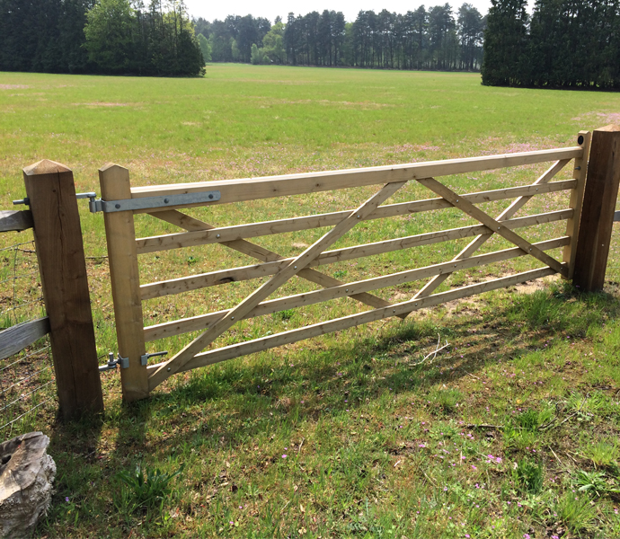 Field-Gates-Category-Picture