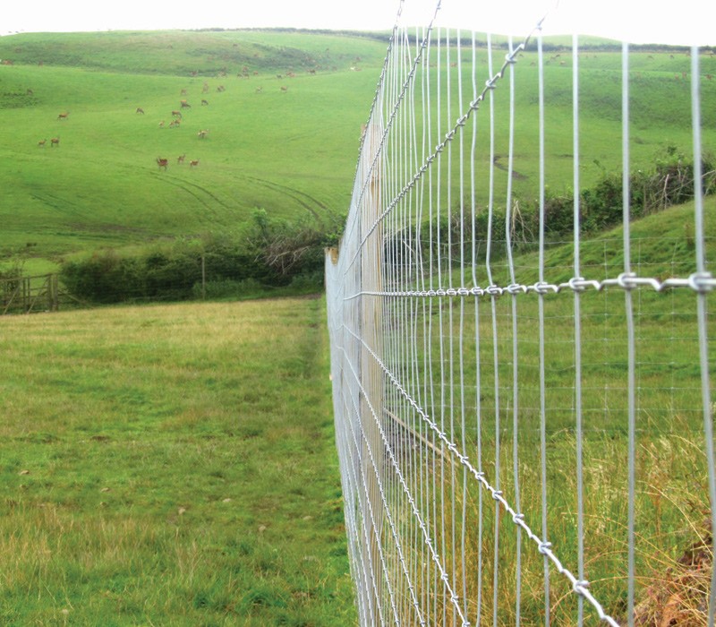 Stock-Fence-Category-Picture